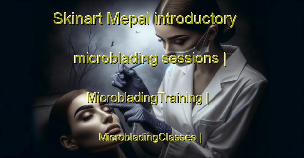 Skinart Mepal introductory microblading sessions | MicrobladingTraining | MicrobladingClasses | SkinartTraining-United Kingdom